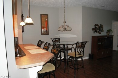 602 Aqua Marine Blvd unit 2, Avon Lake, OH 44012 - photo 6