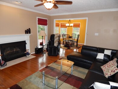 Lots of light & hardwood floors!