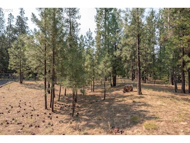 14215 Stillwater Ln, La Pine, OR 97739 - photo 2