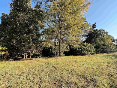 004-00426-001 Harding Blvd, Cotter, AR 72626 - photo 3