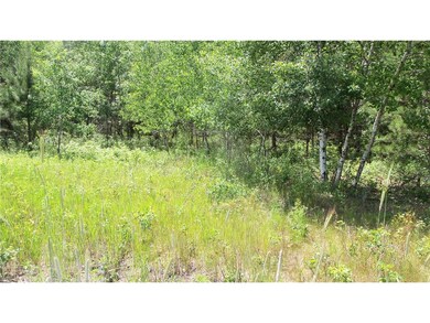 Lot 10 Maple Ln, Siren, WI 54872 - photo 4