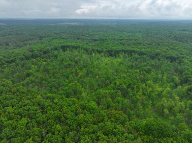 DJI_20250618155358_0639_D