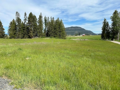 2135 Whitetail Way, Colville, WA 99114 - photo 2