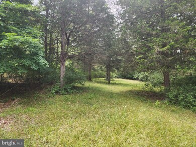 0 Golliday Ln unit WVMO2003238, Great Cacapon, WV 25422 - photo 5