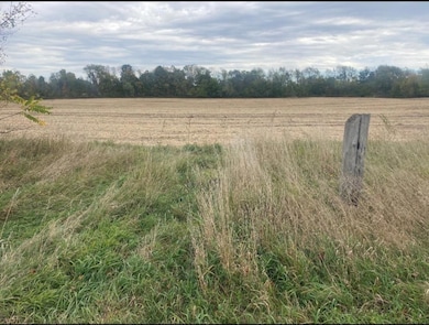 E S Ionia Rd, Kalamo Township, MI 49096 - photo 3