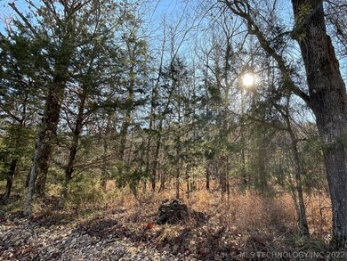 331 Bailey Blvd, Tahlequah, OK 74464 - photo 5