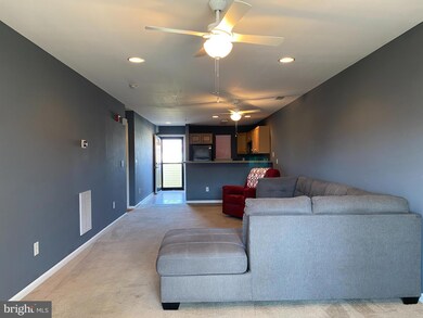 36525 Palm Dr unit 5203, Rehoboth Beach, DE 19971 - photo 5