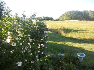 274 Circuit Ave, Pocasset, MA 02559 - photo 6