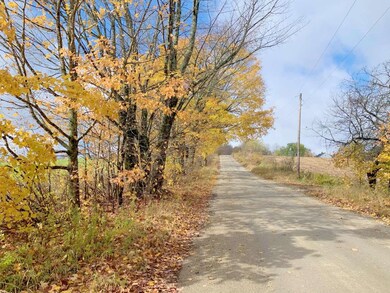 00 4 Corners Rd, Sutton, VT 05867 - photo 6