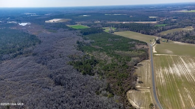 11394 N Carolina 41, Bladenboro, NC 28320 - photo 5