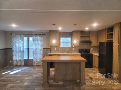 79 Propst Rd, Candler, NC 28715 - photo 3