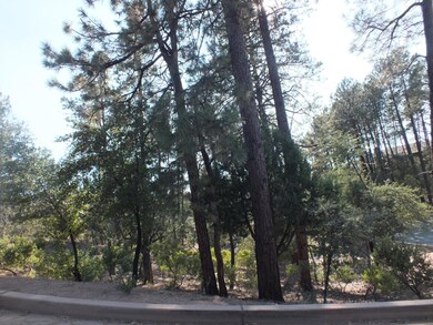 Tall Pines on Lot