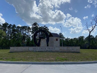 10106 Barn Owl Trail, Magnolia, TX 77354 - photo 6