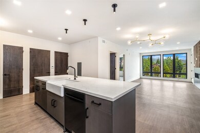 80 W Main St unit 201, Frisco, CO 80443 - photo 3