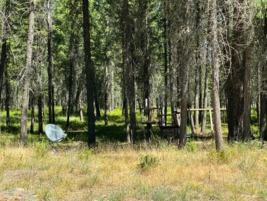 3741 N Deer Lake Rd, Loon Lake, WA 99148 - photo 5