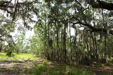 Wooded lot to the North of Lots 3/4