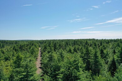 DJI_0969