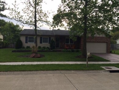 Front Yard