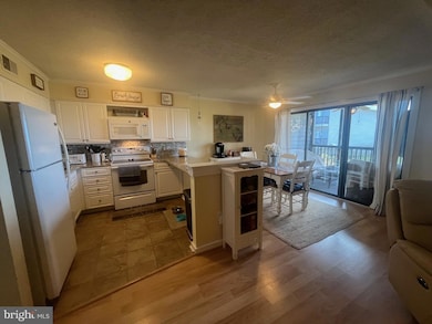 119 Old Landing Rd, Ocean City, MD 21842 - photo 2