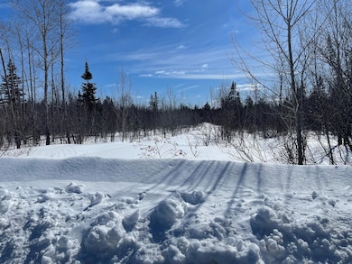 778 New Dunntown Rd, Wade, ME 04786 - photo 2