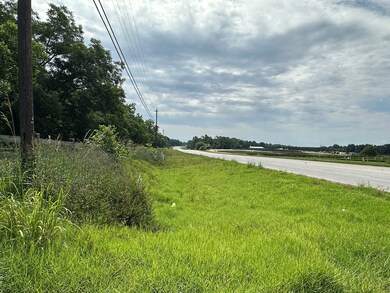 3109 U S 84, Cairo, GA 39828 - photo 5