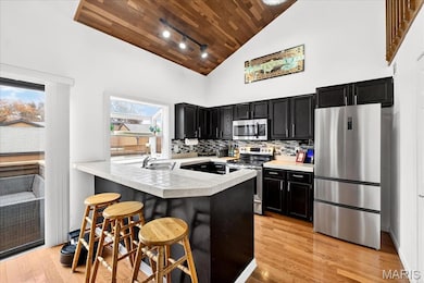 18 Hemingway Ln unit A, Weldon Spring, MO 63304 - photo 7