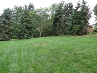 Yard/Garden.