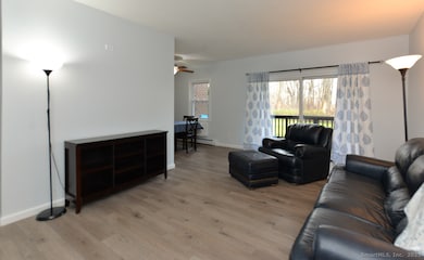 93 Balance Rock Rd unit 1, Seymour, CT 06483 - photo 4