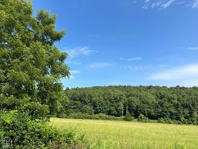 1 Denton Ferry Rd, Flippin, AR 72626 - photo 6