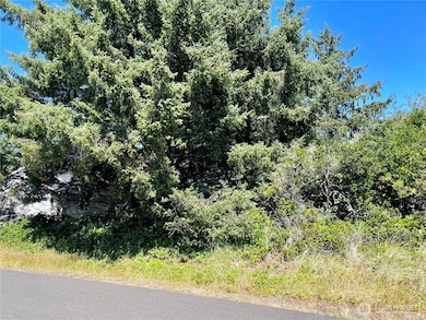 138 N Razor Clam Dr SW, Ocean Shores, WA 98569 - photo 6