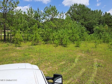 0 0 U S 49, Mendenhall, MS 39114 - photo 6