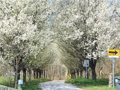 5585 S County Road 60 SW, Greensburg, IN 47240 - photo 5