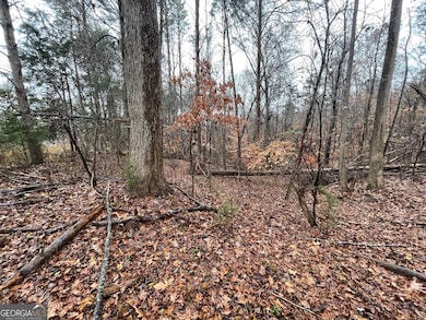 0 Nicklaus Rd unit LOT 851, Westminster, SC 29693 - photo 3