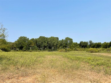 TBD County Road 424, de Leon, TX 76444 - photo 5