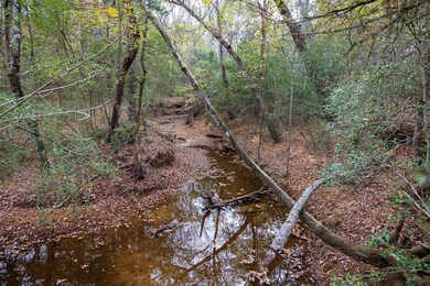 00 Farm To Market Road 228, Grapeland, TX 75844 - photo 3