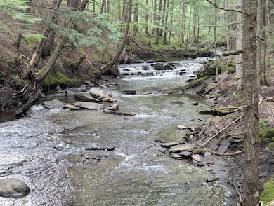 187 E Hill Rd, Marshfield, VT 05658 - photo 7