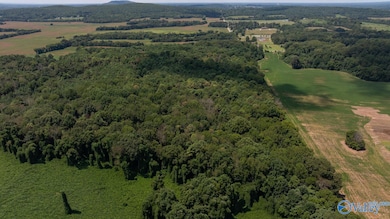 4 Acres Carters Gin Rd, Toney, AL 35773 - photo 5