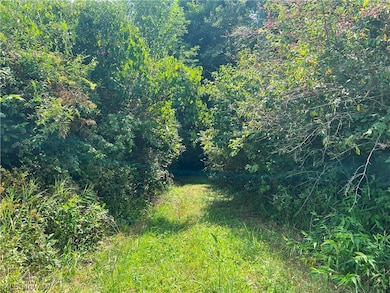 14252 State Route 83, Coshocton, OH 43812 - photo 5