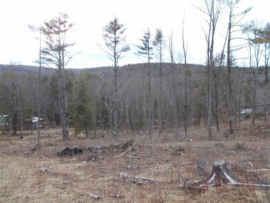 0 Chestnut St unit 4687053, Claremont, NH 03743 - photo 3