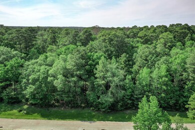 38 Firewood Rd, Huntsville, TX 77340 - photo 4