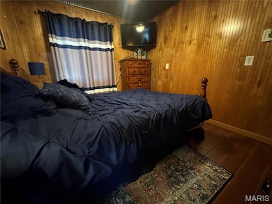 252 Lake Forest Rd, Wappapello, MO 63966 - photo 6