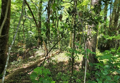 0000 SW Delaware Way, Fort White, FL 32038 - photo 5