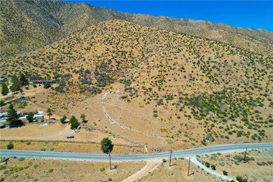 118 Juniper Hills Rd, Juniper Hills, CA 93543 - photo 5