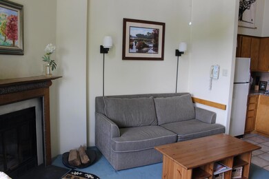 1419 Silver Creek unit SILVER CREEK DRIVE, Snowshoe, WV 26209 - photo 2