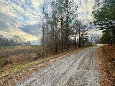 0 Lot 1 Sartain Rd unit 25-437, Dennis, MS 38838 - photo 5