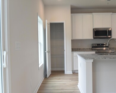 Dining to Kitchen Pantry