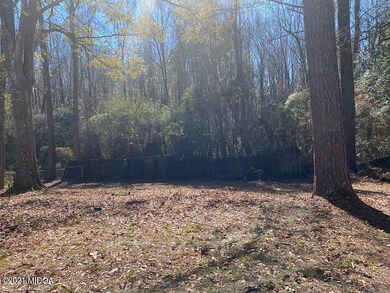 elkan backyard