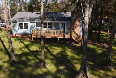backyard aerial (2)