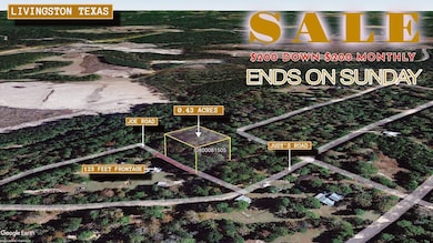 Joe Myers Rd, Livingston, TX 77351 - photo 6