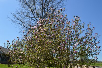 1079 Shakertown Rd, Harrodsburg, KY 40330 - photo 2